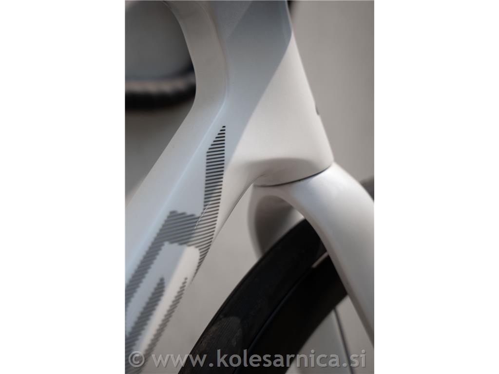 Kolo RIDLEY Falcn Disc